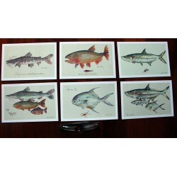 Láminas & Réplicas Acuarelas de Fabián Mrad