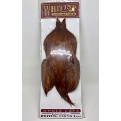 Whiting Eurohackle Cape