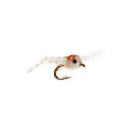 Tim's Mysis Shrimp White