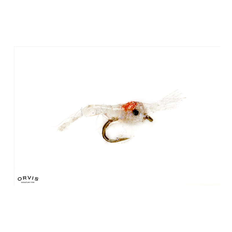 Tim's Mysis Shrimp White