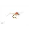 Tim's Mysis Shrimp White