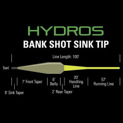 Hydros Bank Shot Sink Tip
