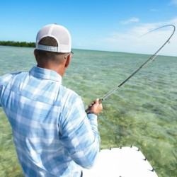 Helios™ D Fly Rod 7-Weight 9'