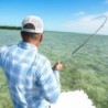 Helios™ F Fly Rod 3-Weight 11'