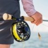 Mirage Reel - PEWTER