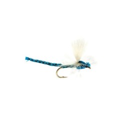 Damsel Blue S10