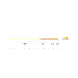 Mastery Grand Slam Cold Fly Line | Scientific Anglers