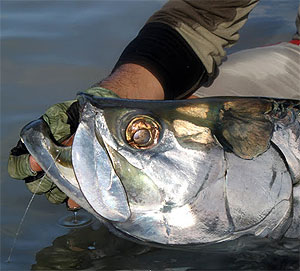 Pesca y fotos en Cuba