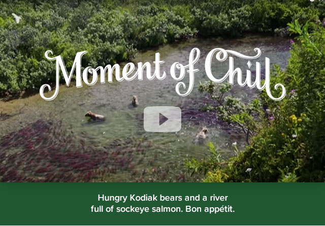 ORVIS – Moment of Chill: Preparándose para el invierno