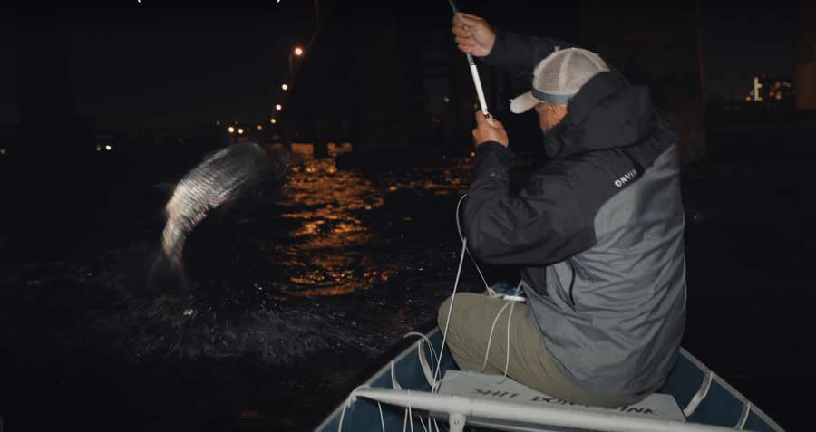 “A Reason to Fish” – “Una razón para pescar”