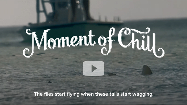 Moment of Chill: Trigger Tails